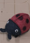 フェルトのテントウ虫２