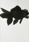 フェルトの金魚／出目金