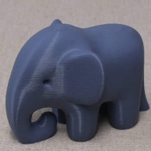 ゾウ