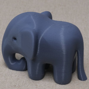 ゾウ