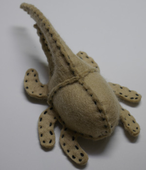 カブトムシ２