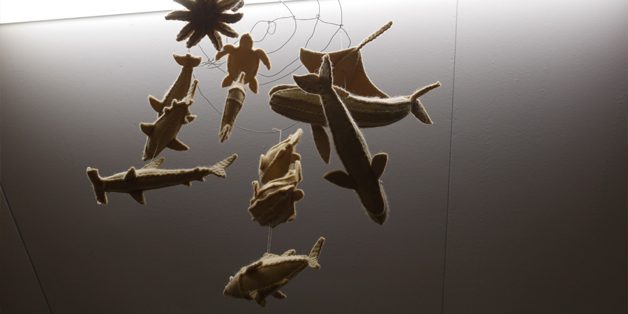 seaanimals