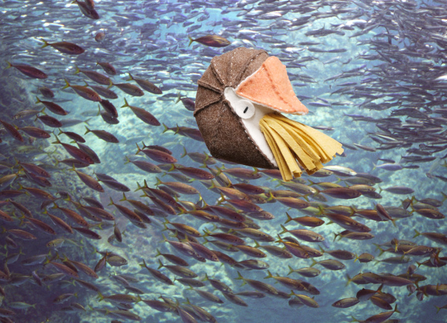 フェルトのオウムガイ