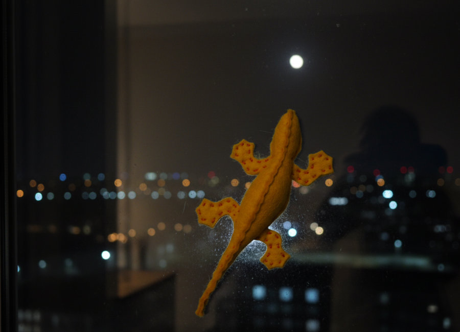 フェルトのヤモリ