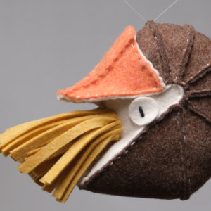 オウムガイ